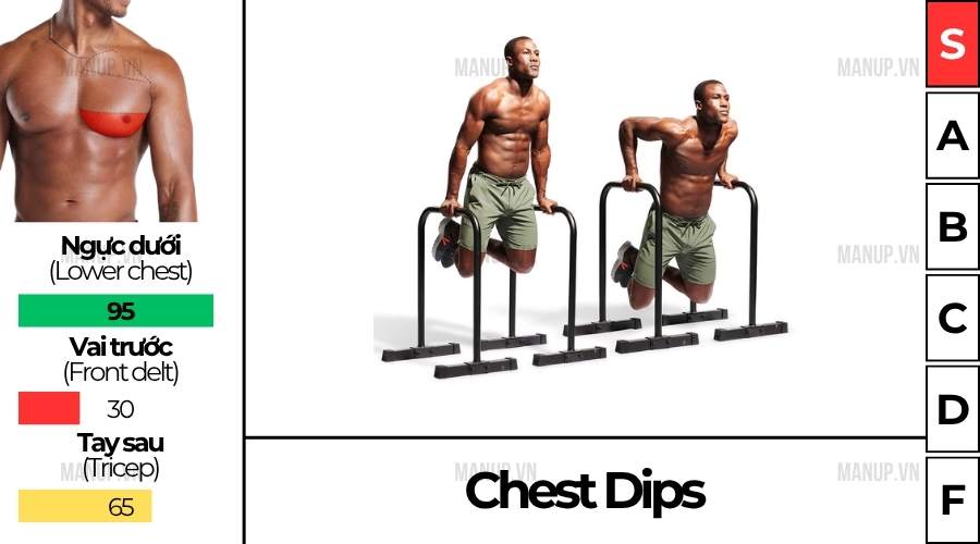 bài tập gym Chest Dips