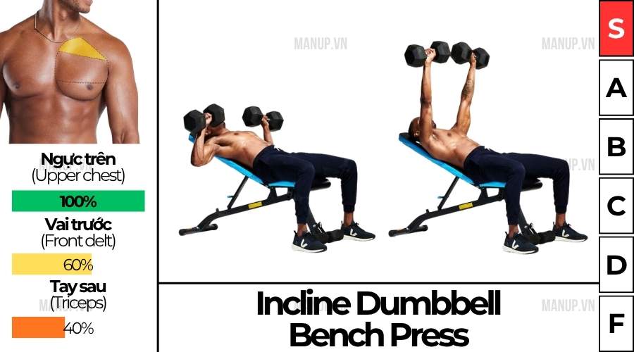 bài tập gym Incline Dumbbell Press