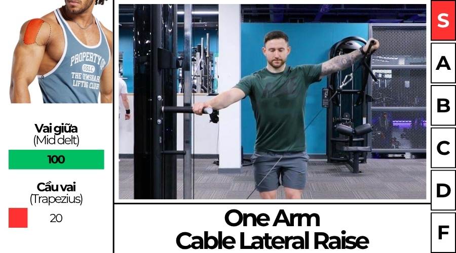 bài tập gym One Arm Cable Lateral Raise