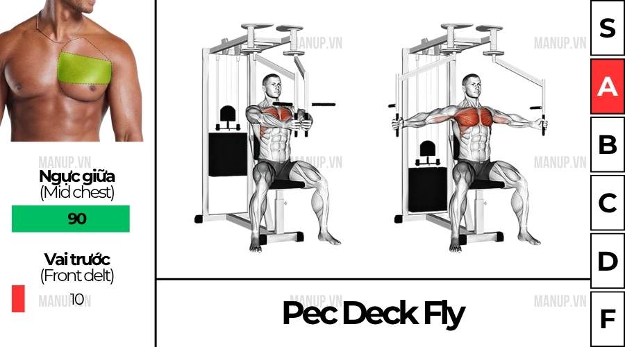 bài tập gym Pec Deck Fly