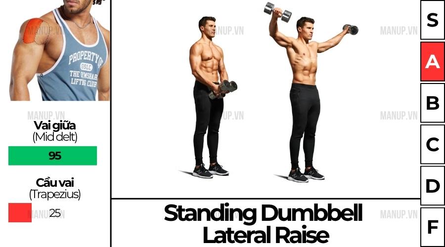 Standing Dumbbell Lateral Raise