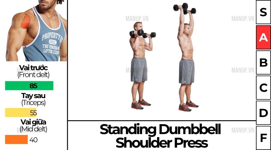 Dumbbell Shoulder Press
