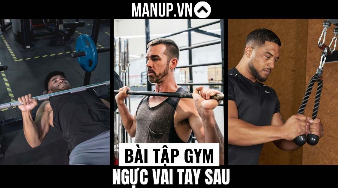 bài tâp gym ngực vai tay sau