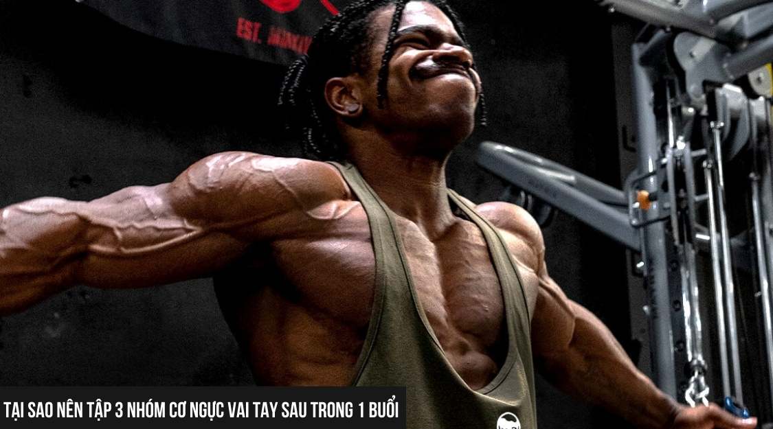 Tại sao nên tập 3 nhóm cơ ngực vai tay sau trong 1 buổi