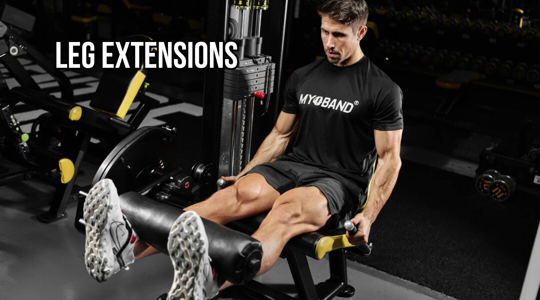 Leg Extensions (Nâng Chân)