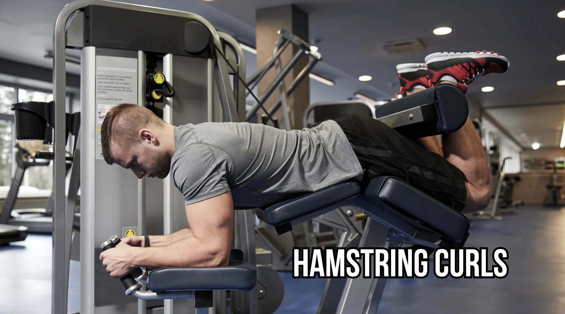 Hamstring Curls