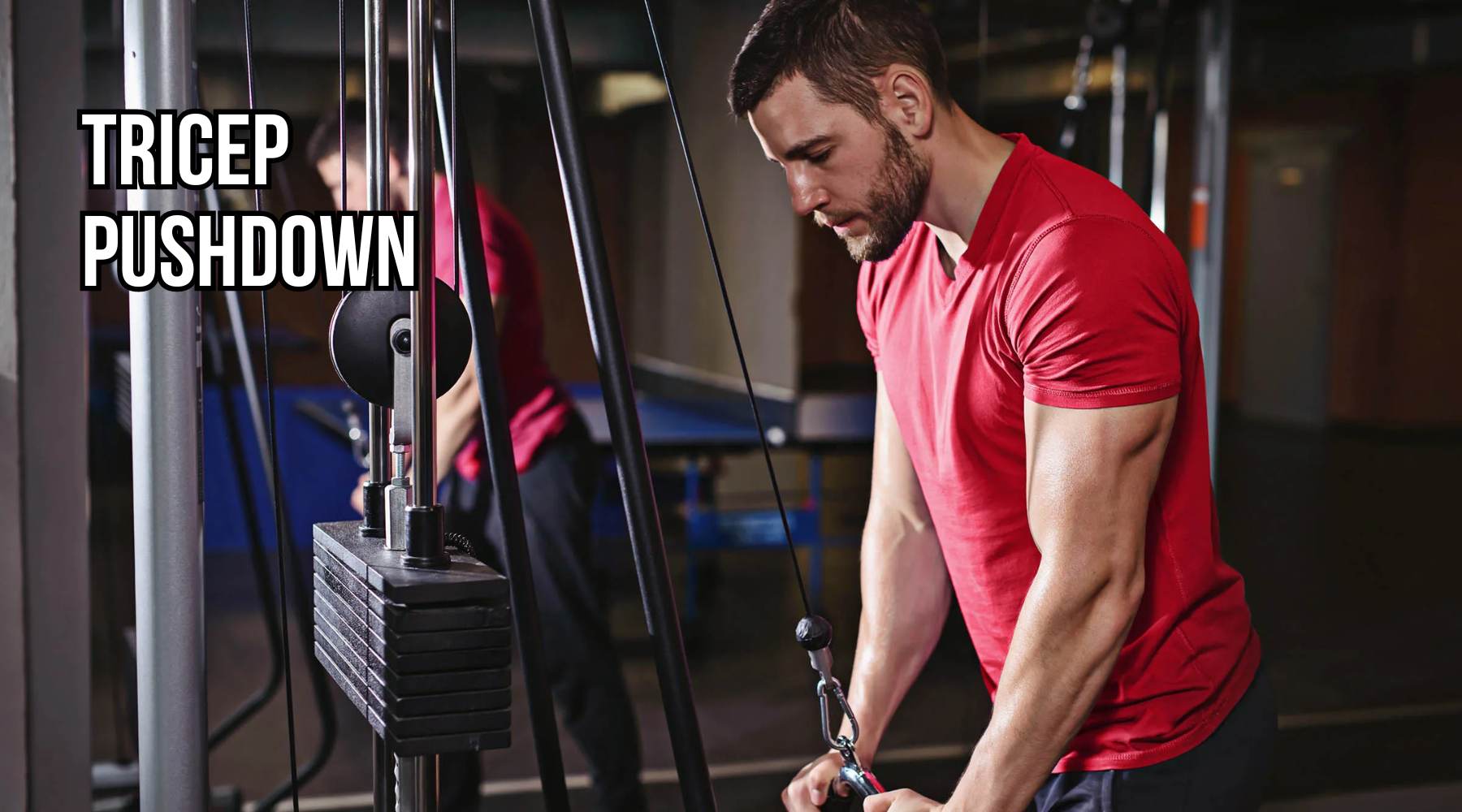 Bài tập isolation