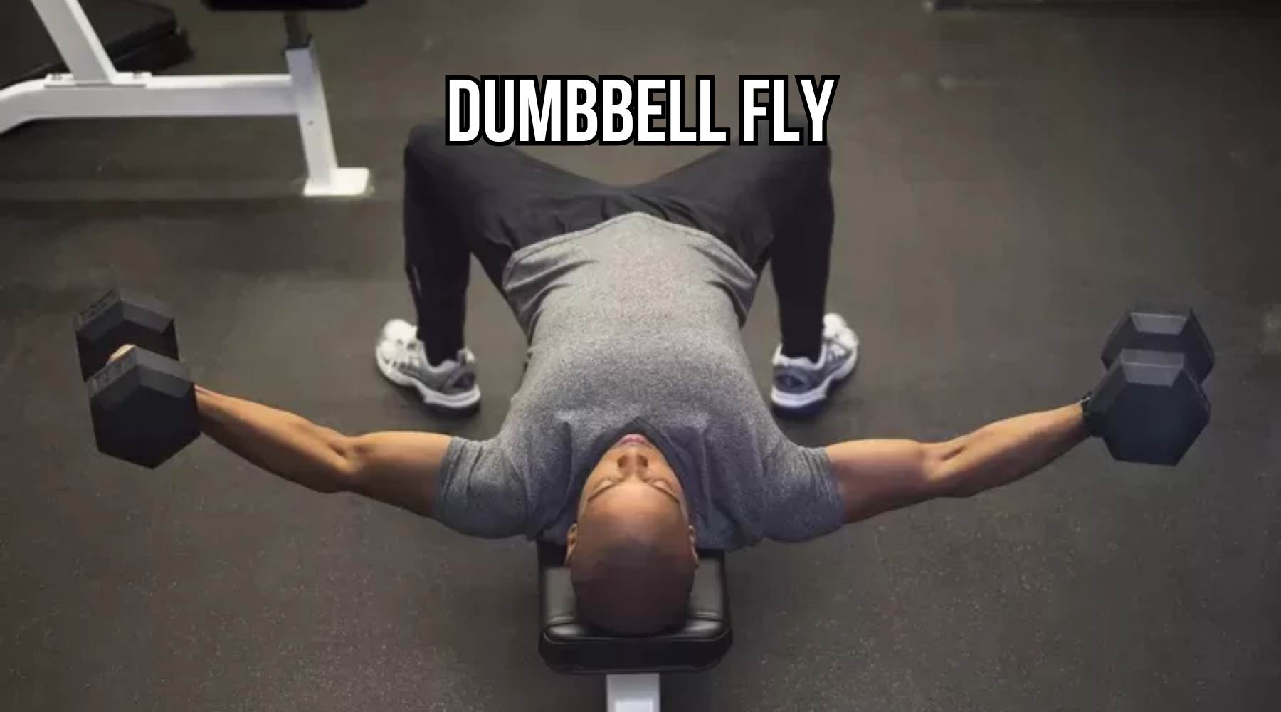 Dumbbell Fly