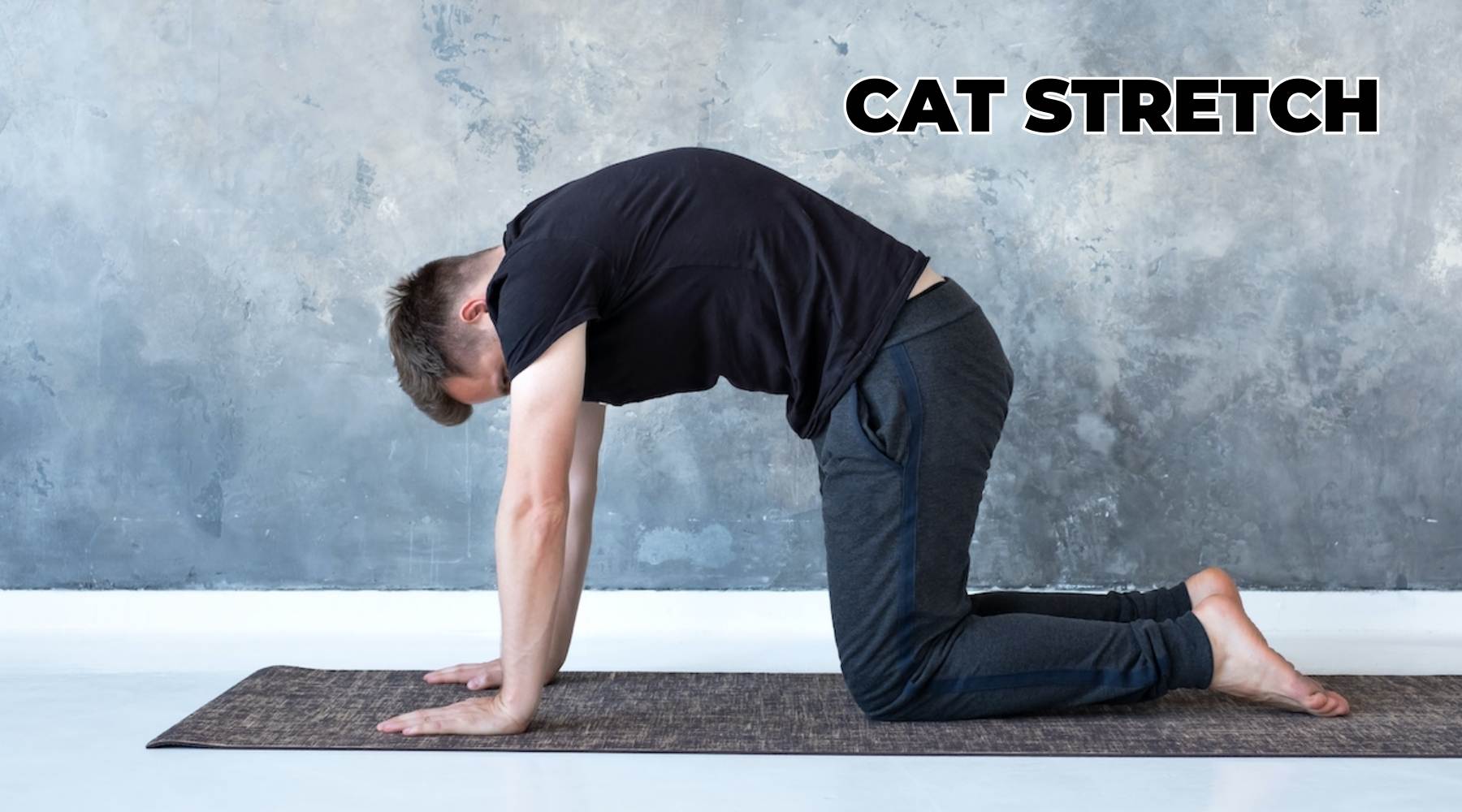 Cat Stretch
