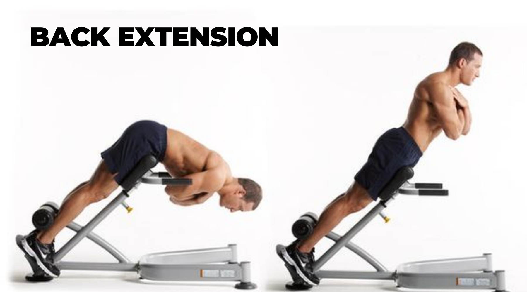 BACK EXTENSIOn