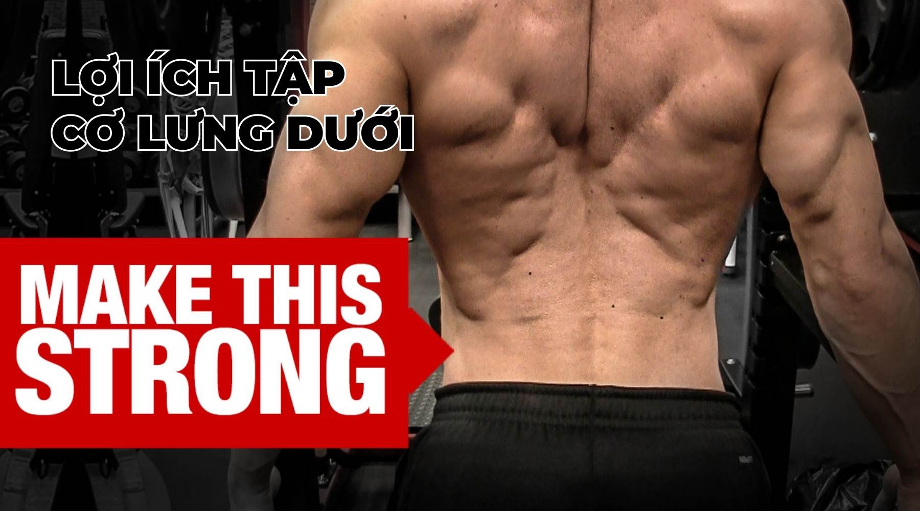 Tại sao nên tập cơ lưng dưới