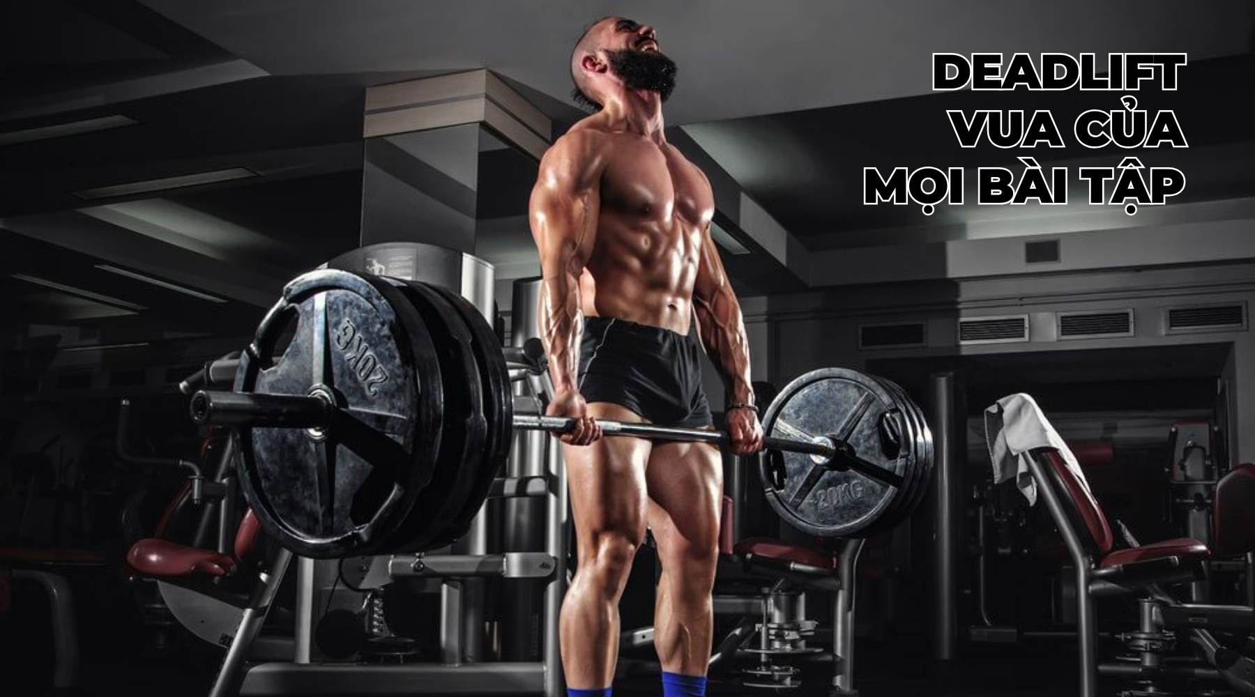 Bài tập lưng dưới tại phòng gym cho nam