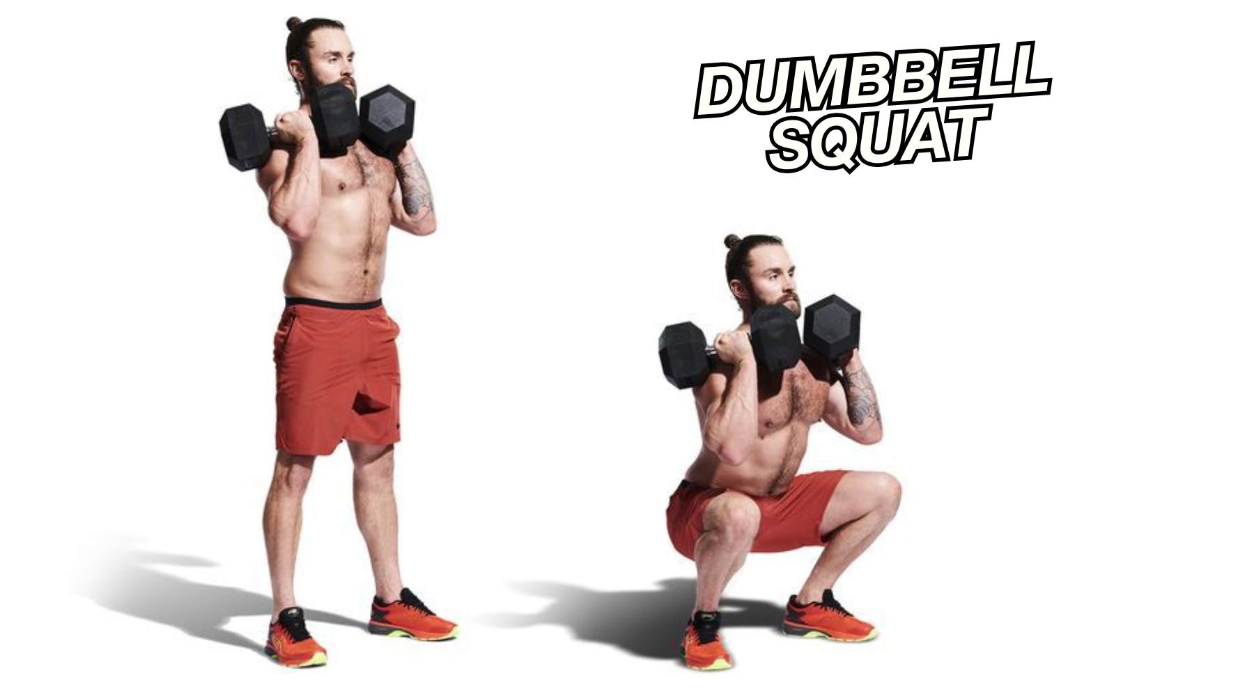 dumbbell squat