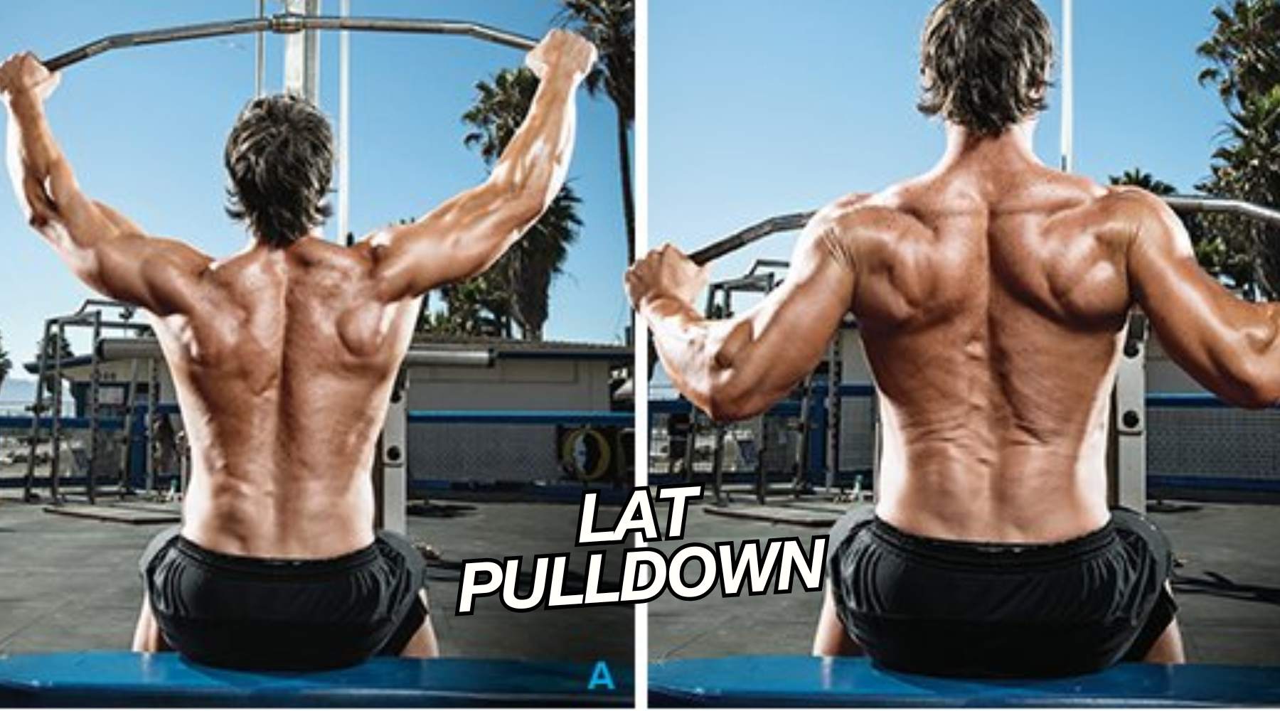 Lat Pulldown