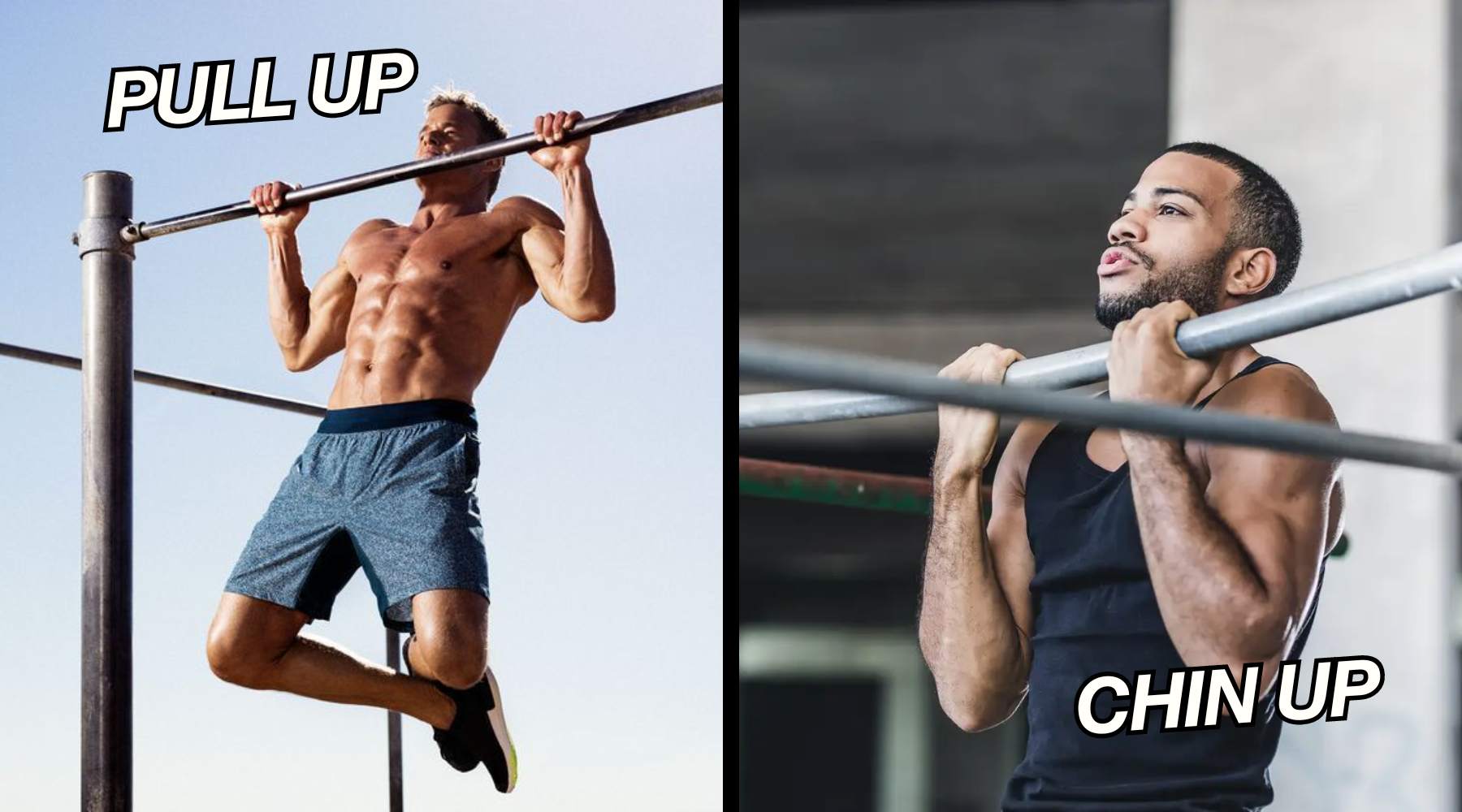 Pull Up/Chin Up