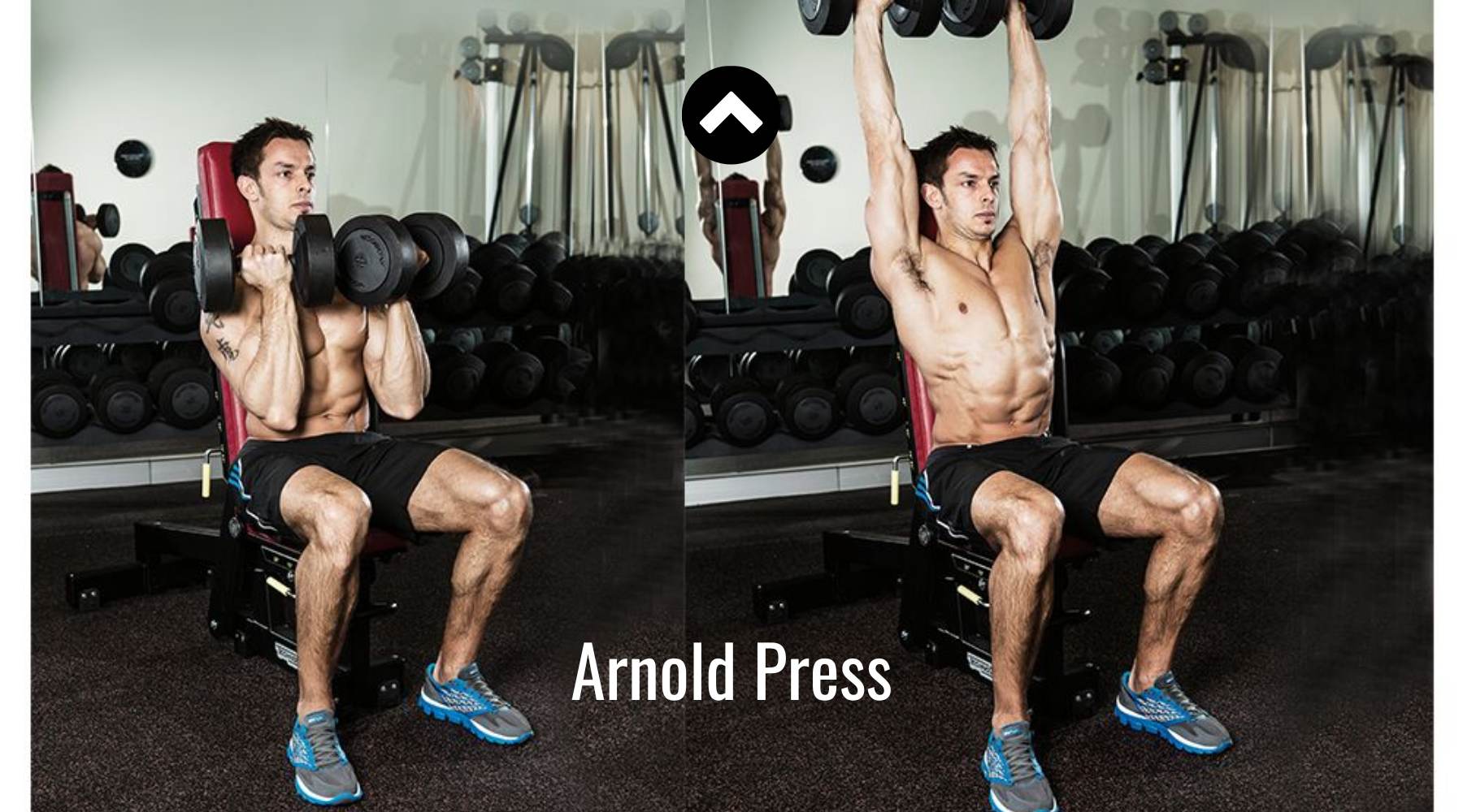 Arnold Press