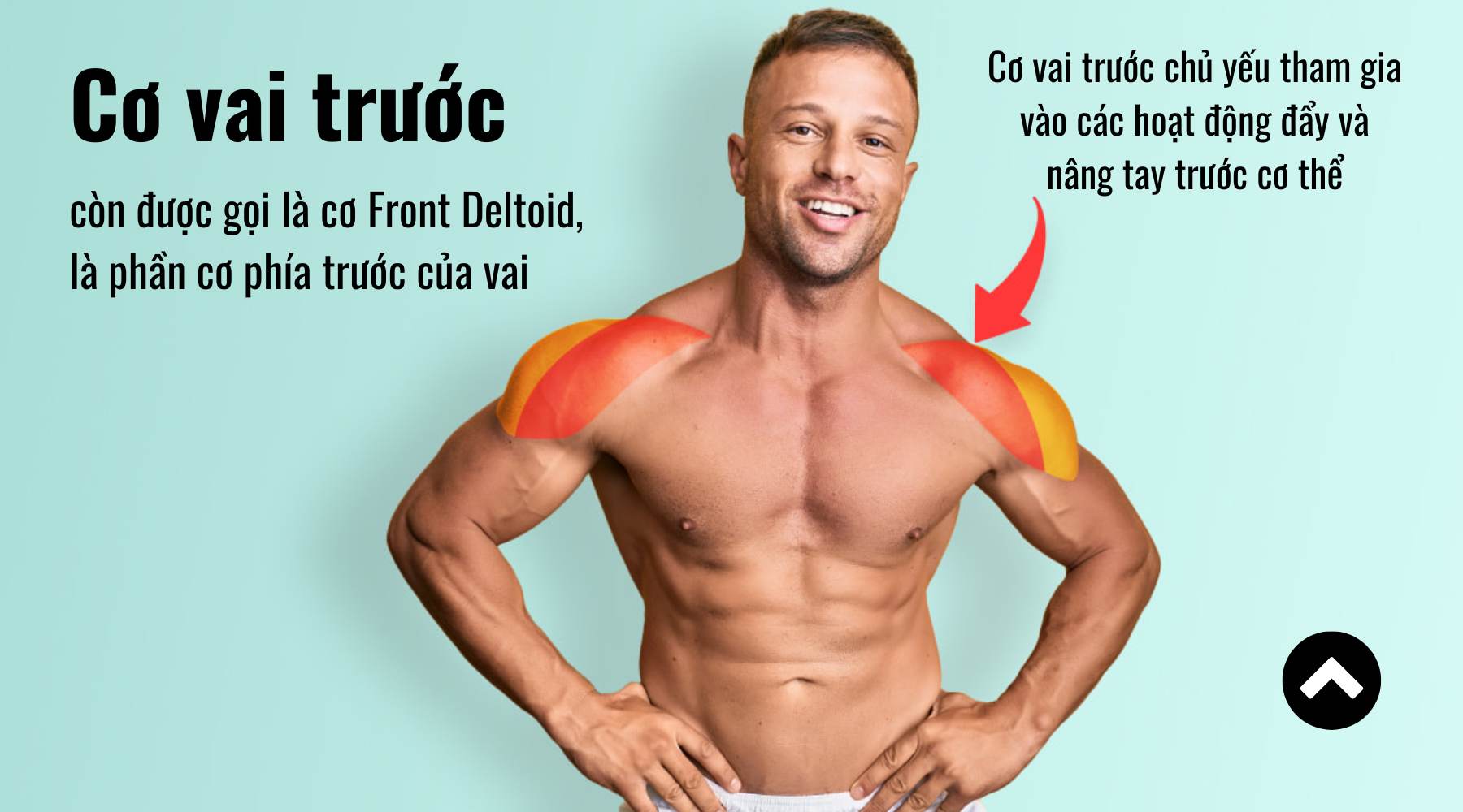 Các bài tập vai trước