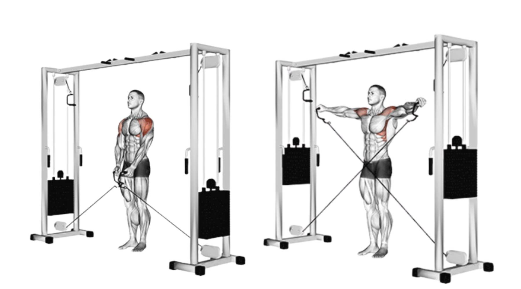 Bài tập Cable Lateral Raise