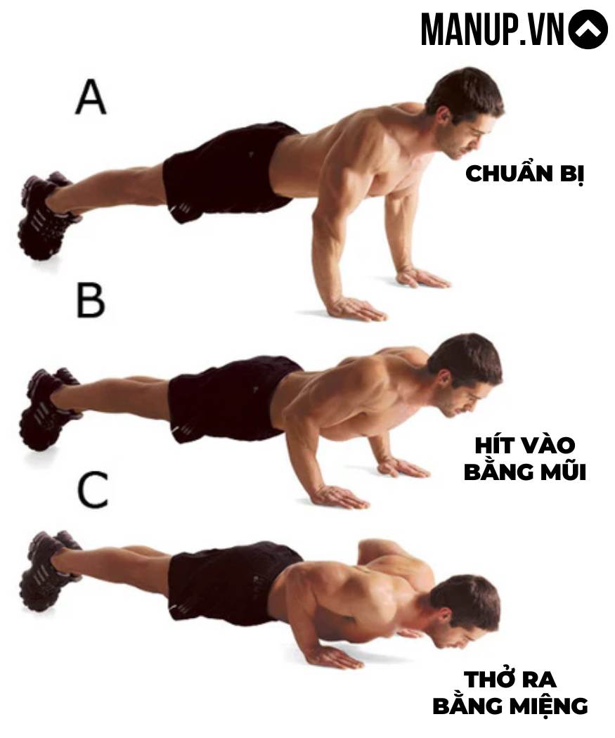 Cách hít thở khi hít đất