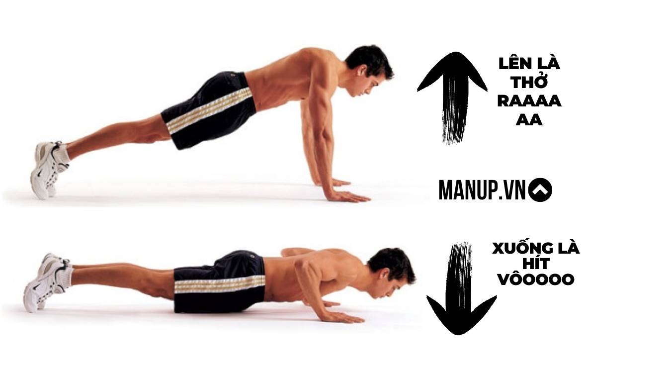 Cách hít thở khi hít đất