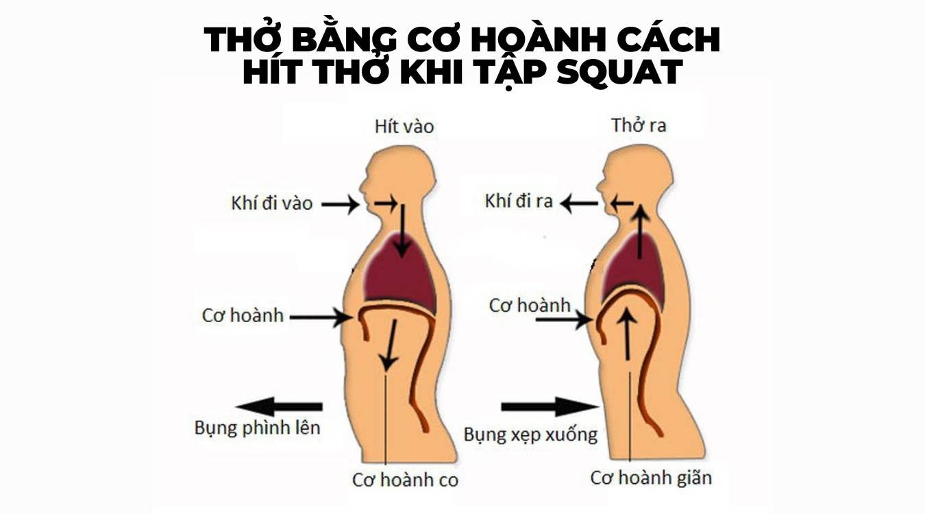 Cách hít thở khi squat