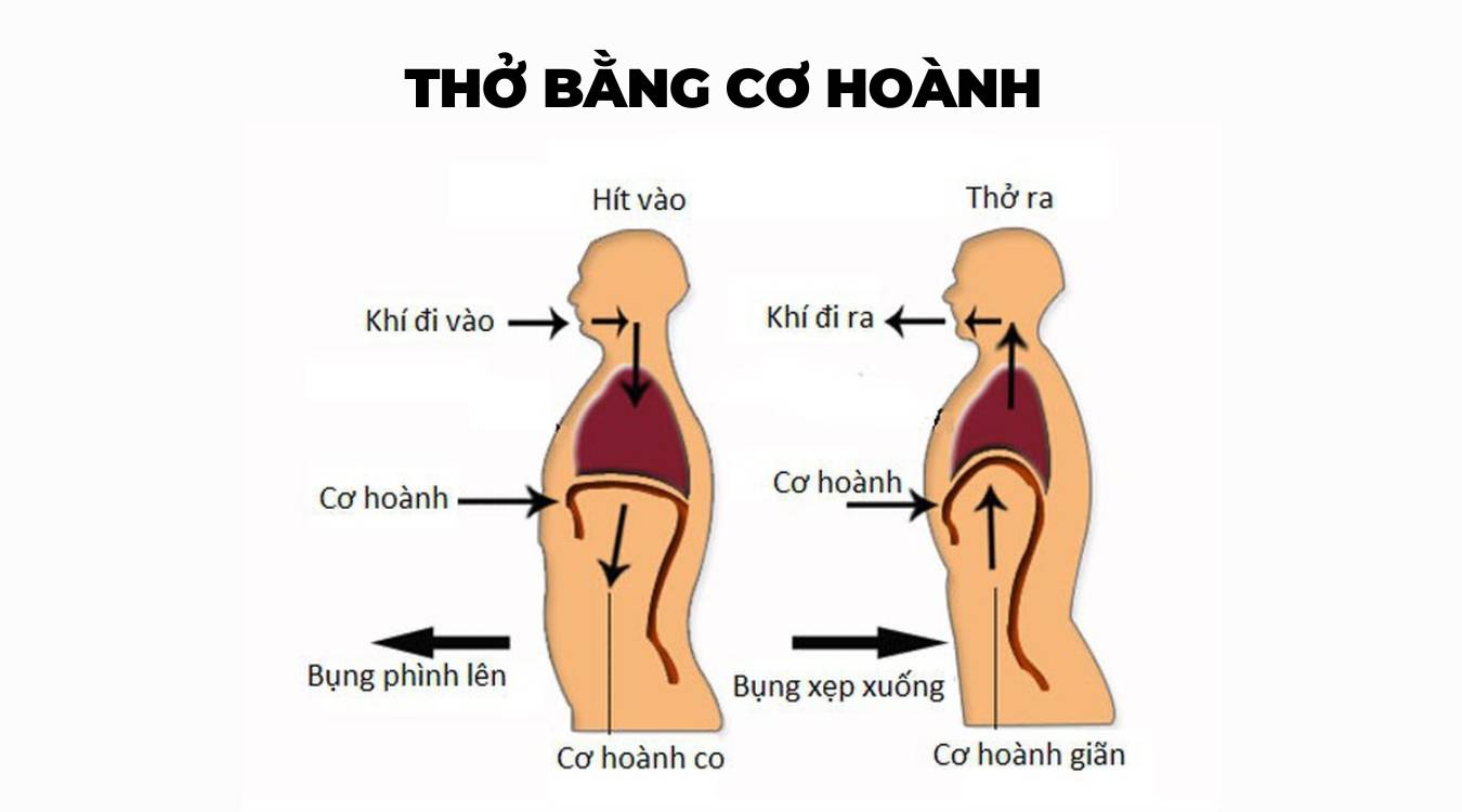 Thở bằng cơ hoành