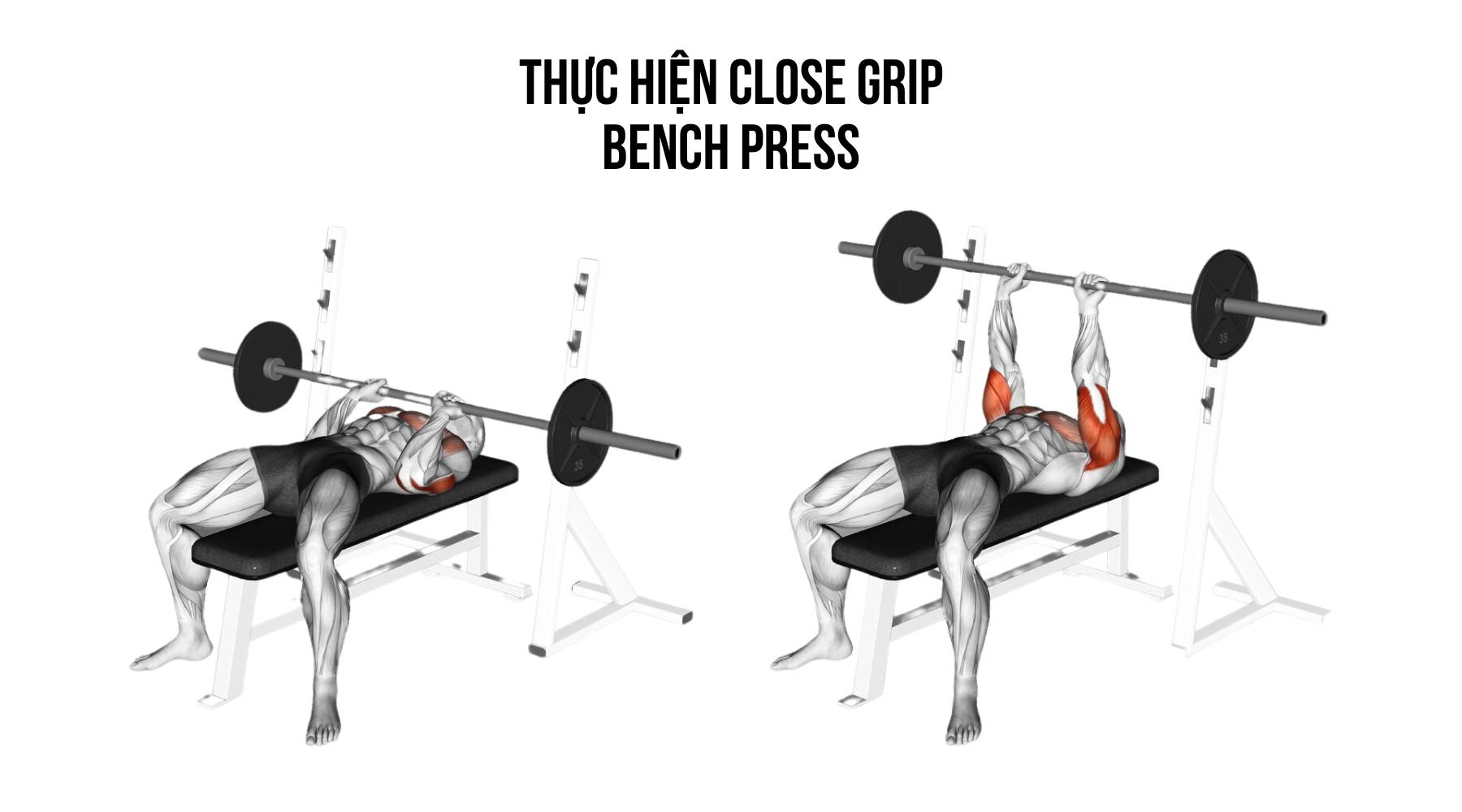 thực hiện Close Grip Bench Press