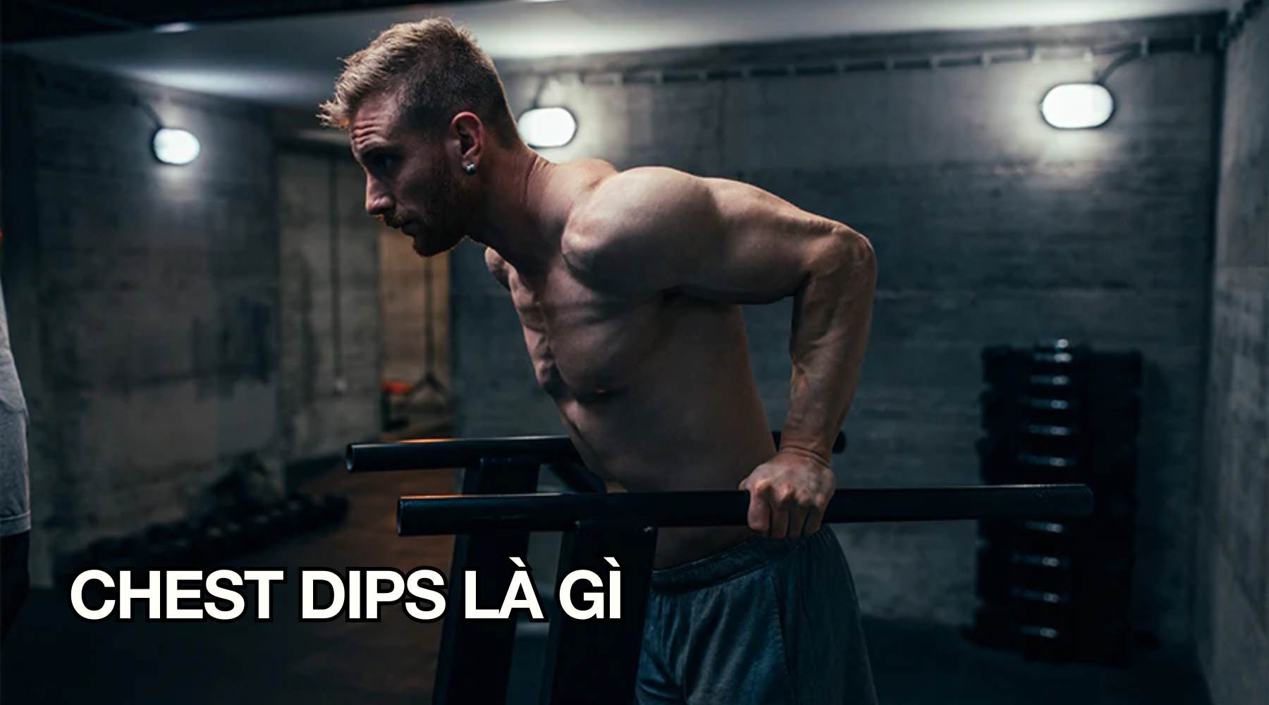 Chest Dips là gì
