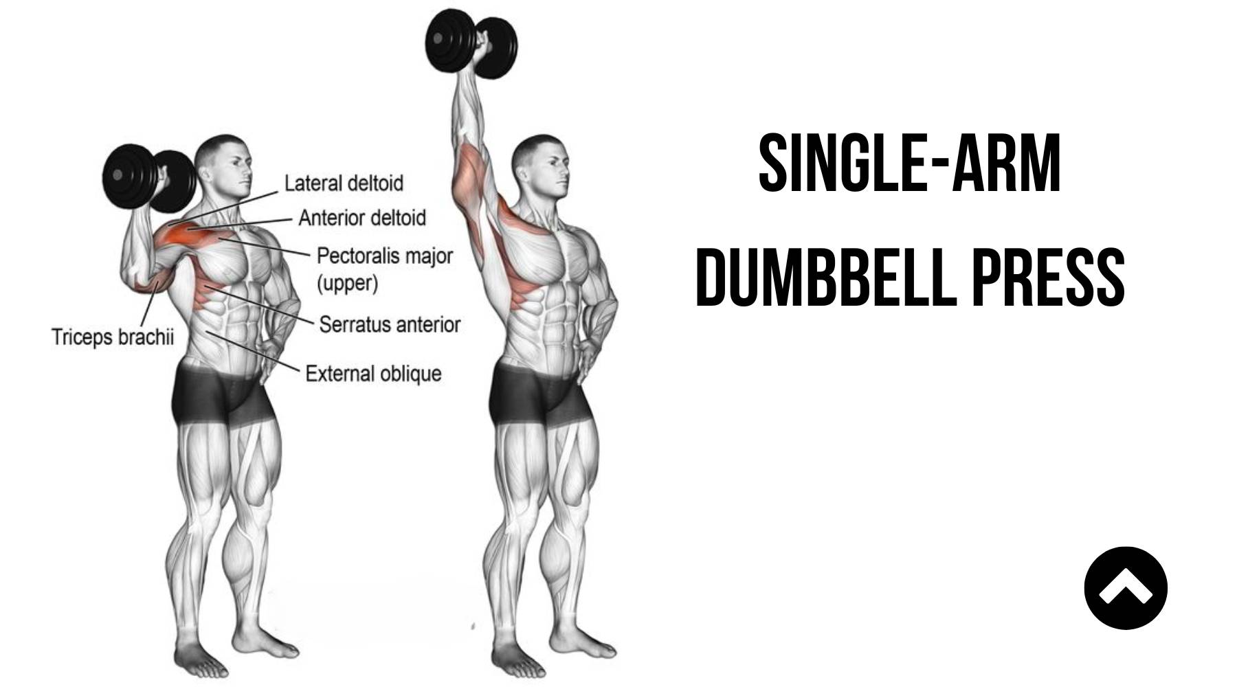 Single-Arm Dumbbell Press