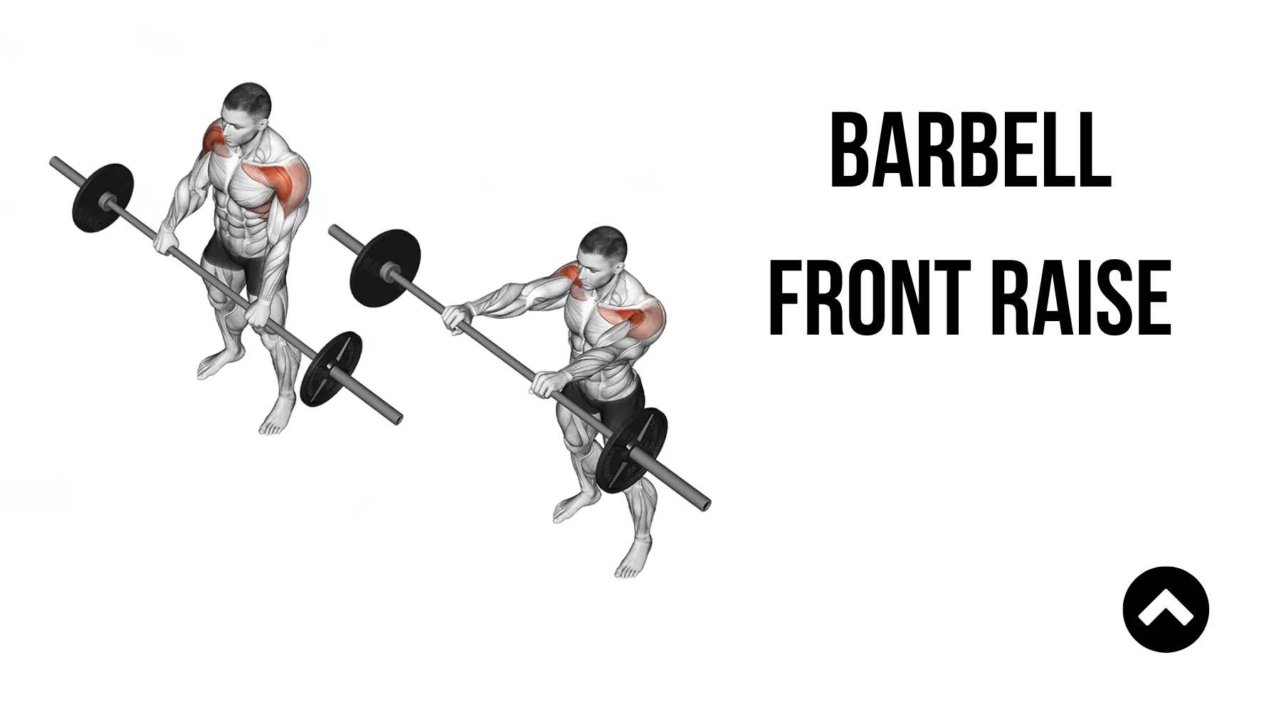 Barbell Front Raise