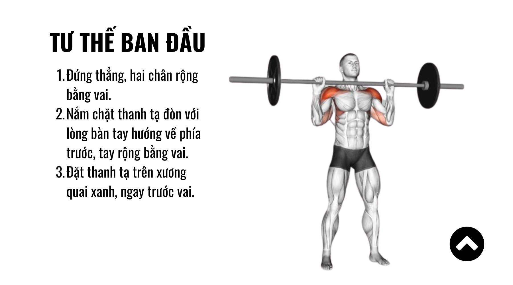 Đẩy cơ vai trước với tạ đòn