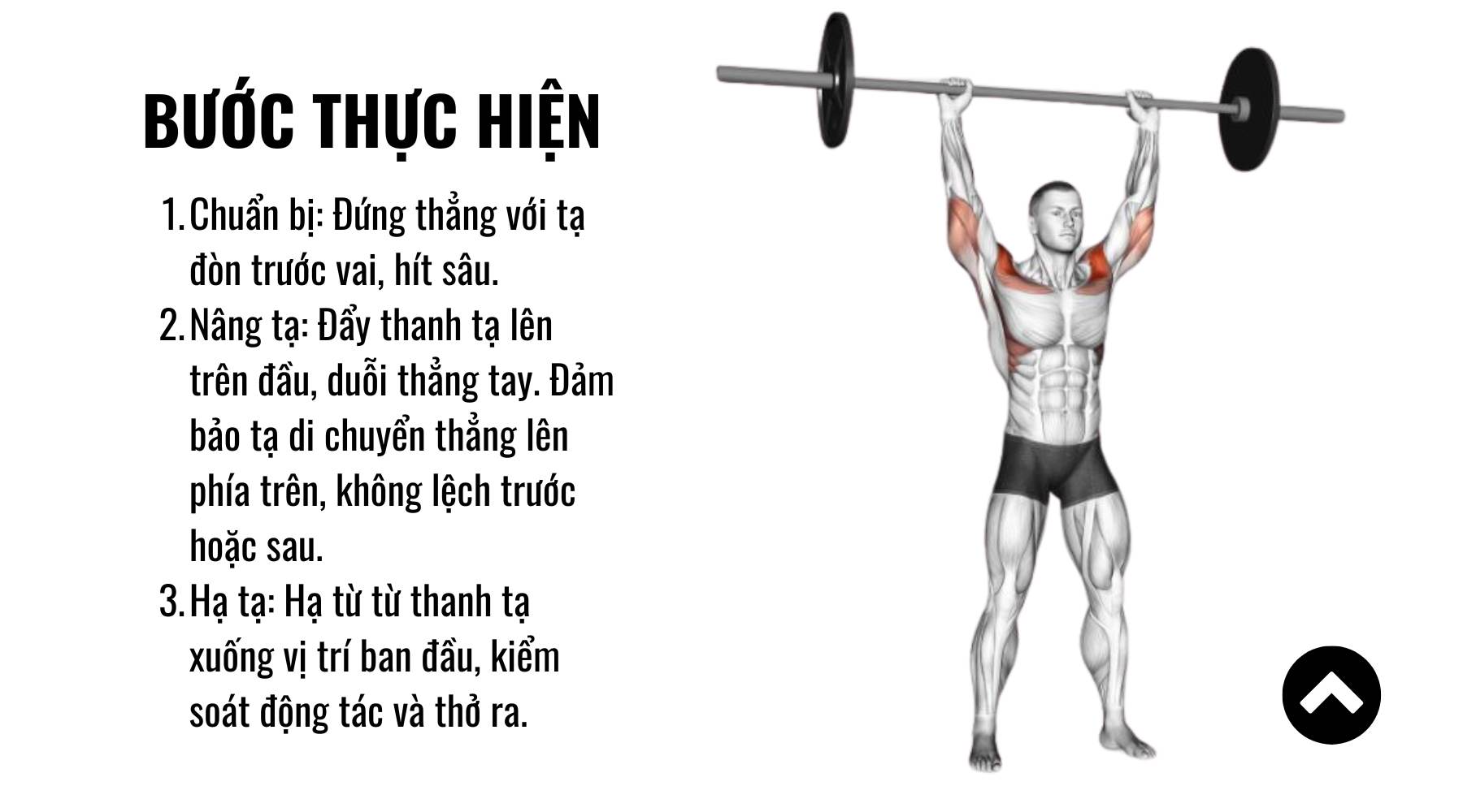 Đẩy cơ vai trước với tạ đòn
