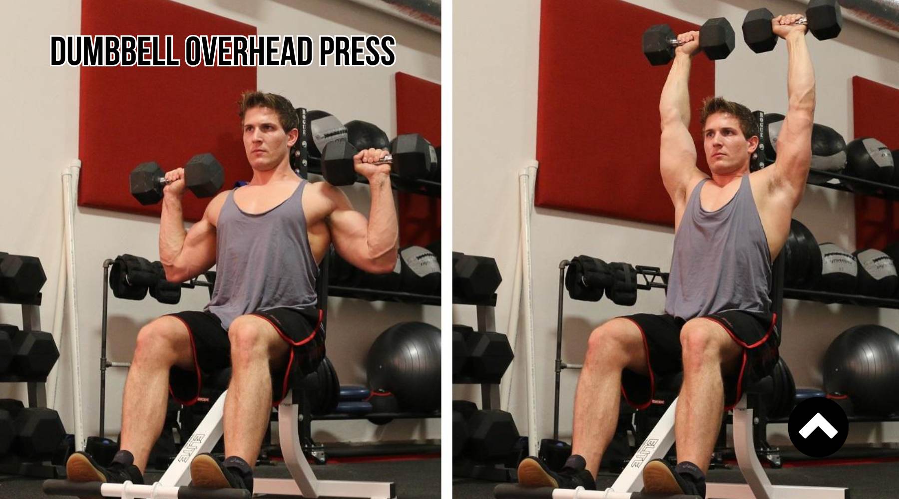 Đẩy cơ vai trước với tạ tay