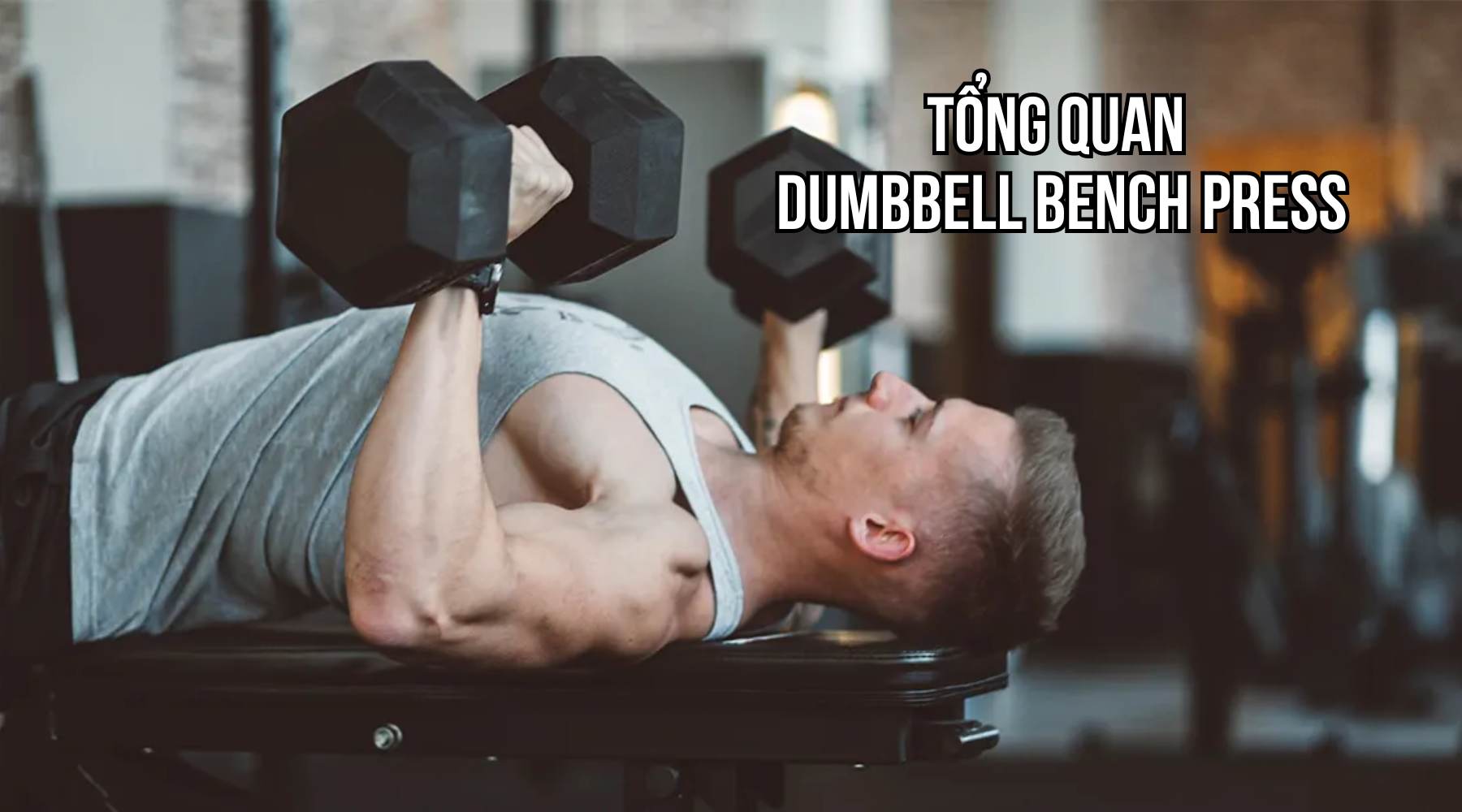 Dumbbell Bench Press hay Barbell Bench Press