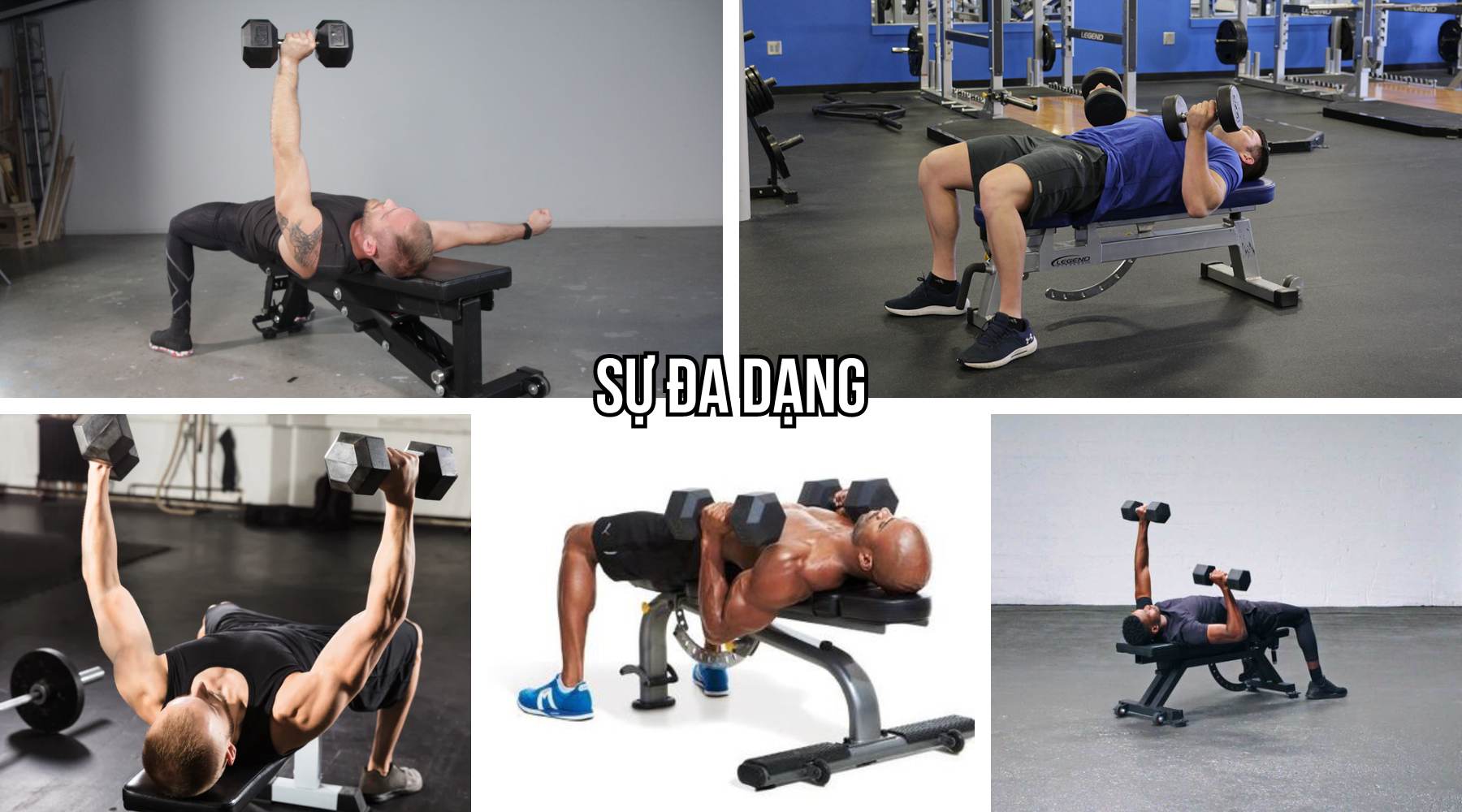 Dumbbell Bench Press hay Barbell Bench Press