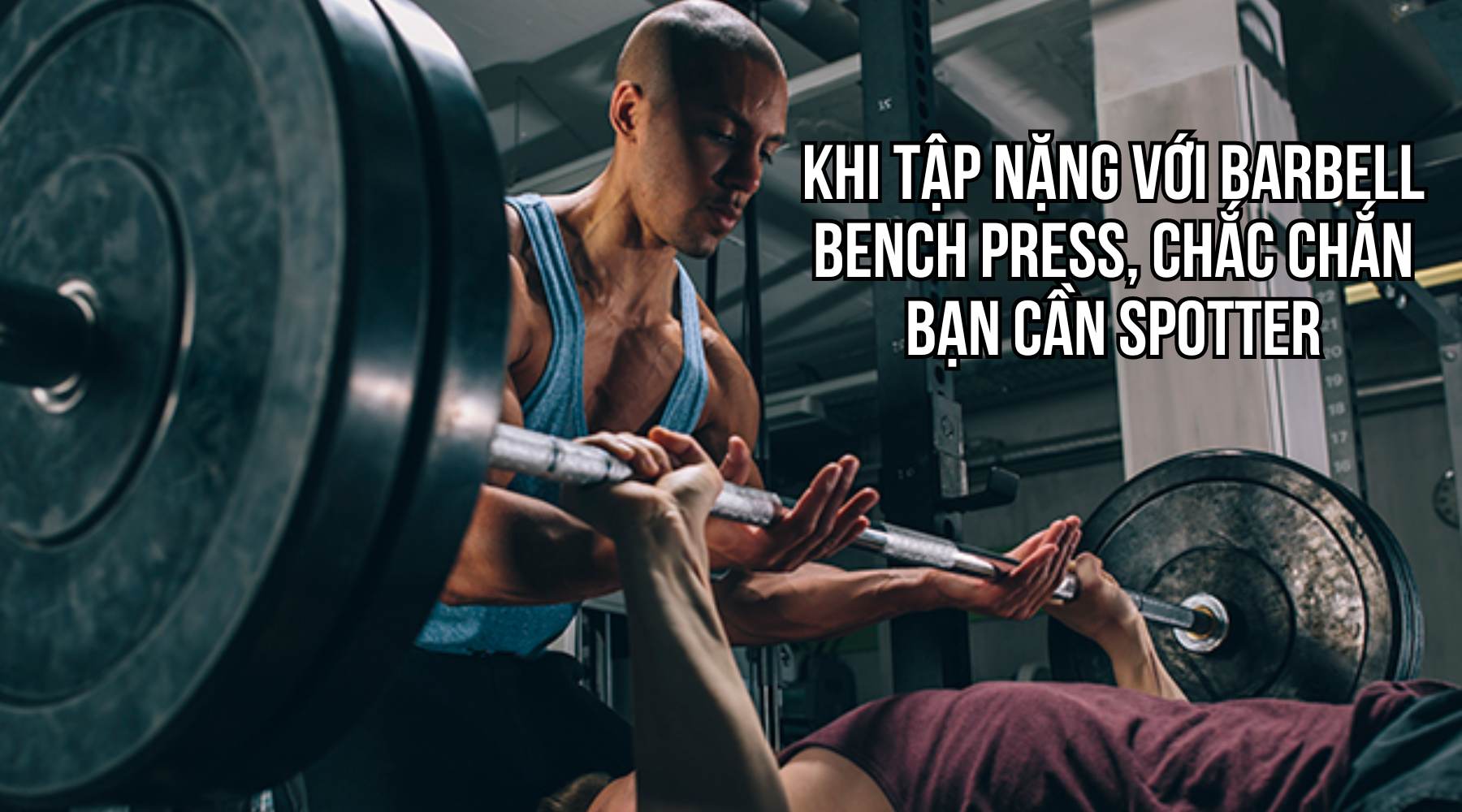 Dumbbell Bench Press hay Barbell Bench Press