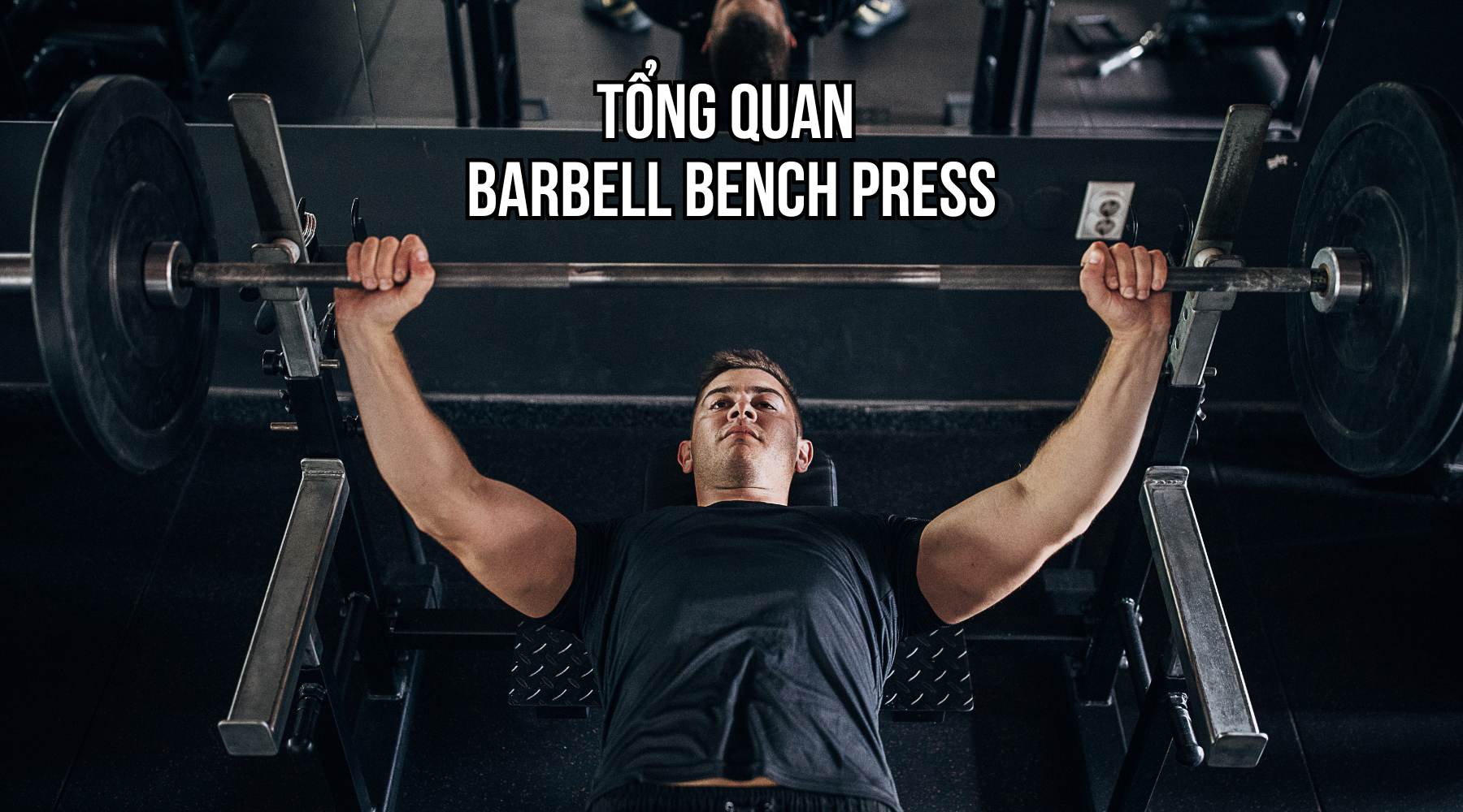 Tổng quan về Barbell Bench Press