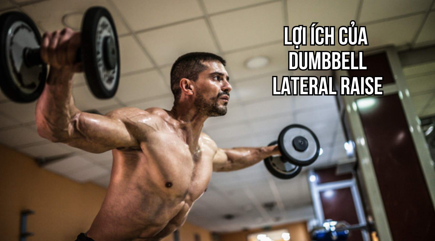 Dumbbell Lateral Raise