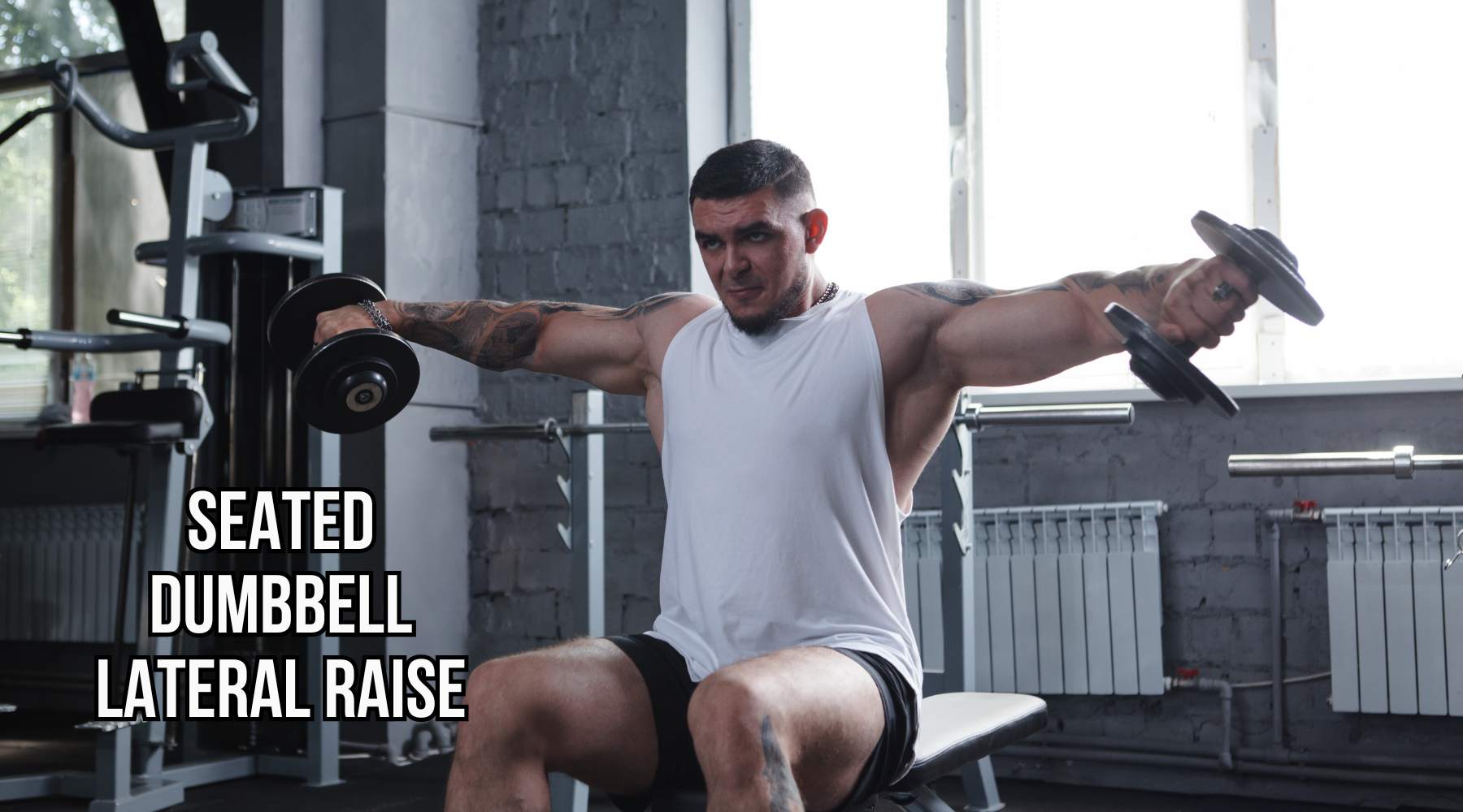 Seated Dumbbell Lateral Raise