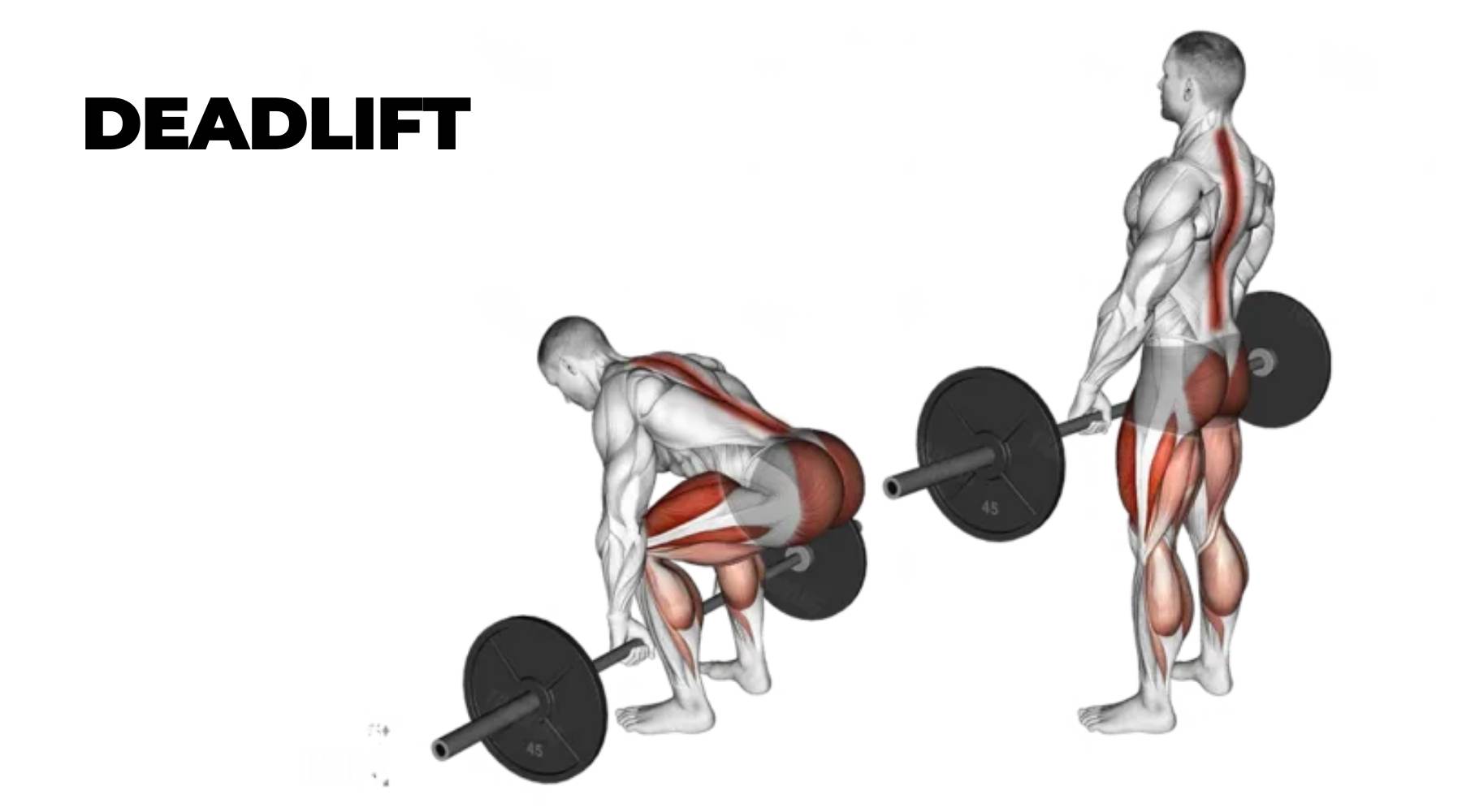 Cách thực hiện Deadlift đúng kỹ thuật