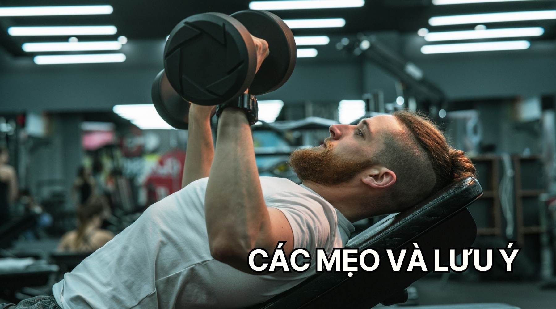 Incline Dumbbell Bench Press