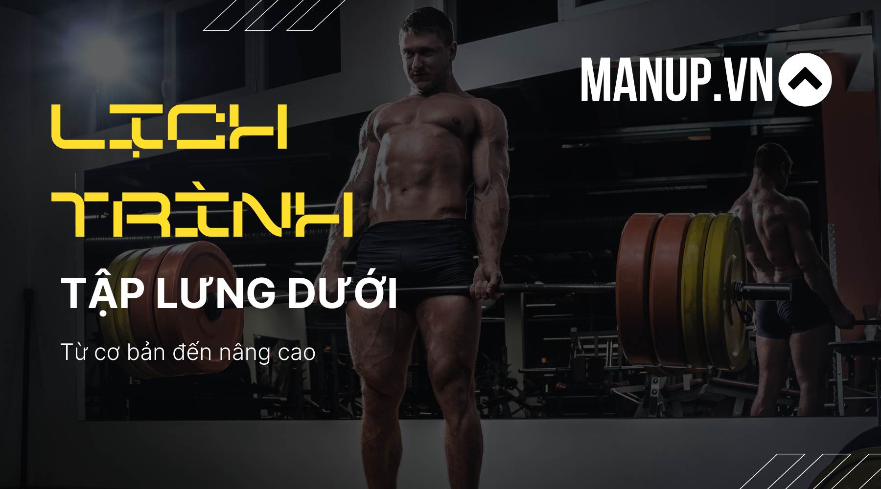 kế hoạch tập luyện lưng dưới