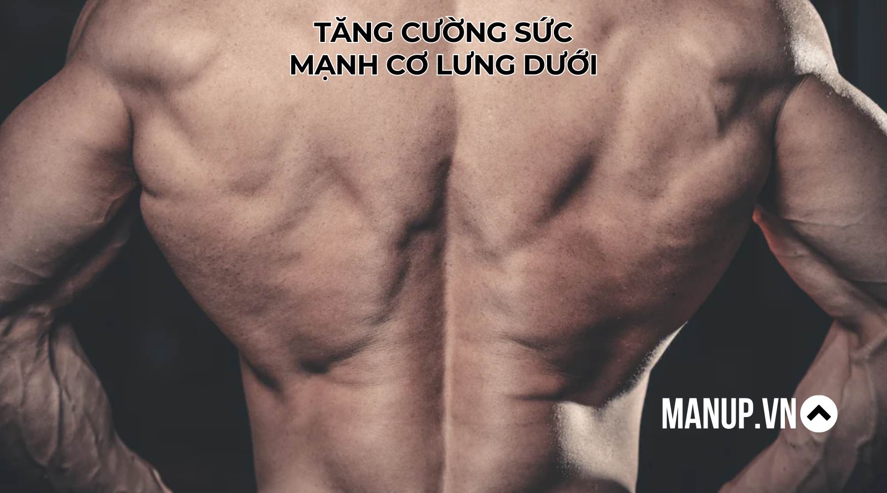 lợi ích của việc tập lưng dưới tại phòng gym cho nam giới