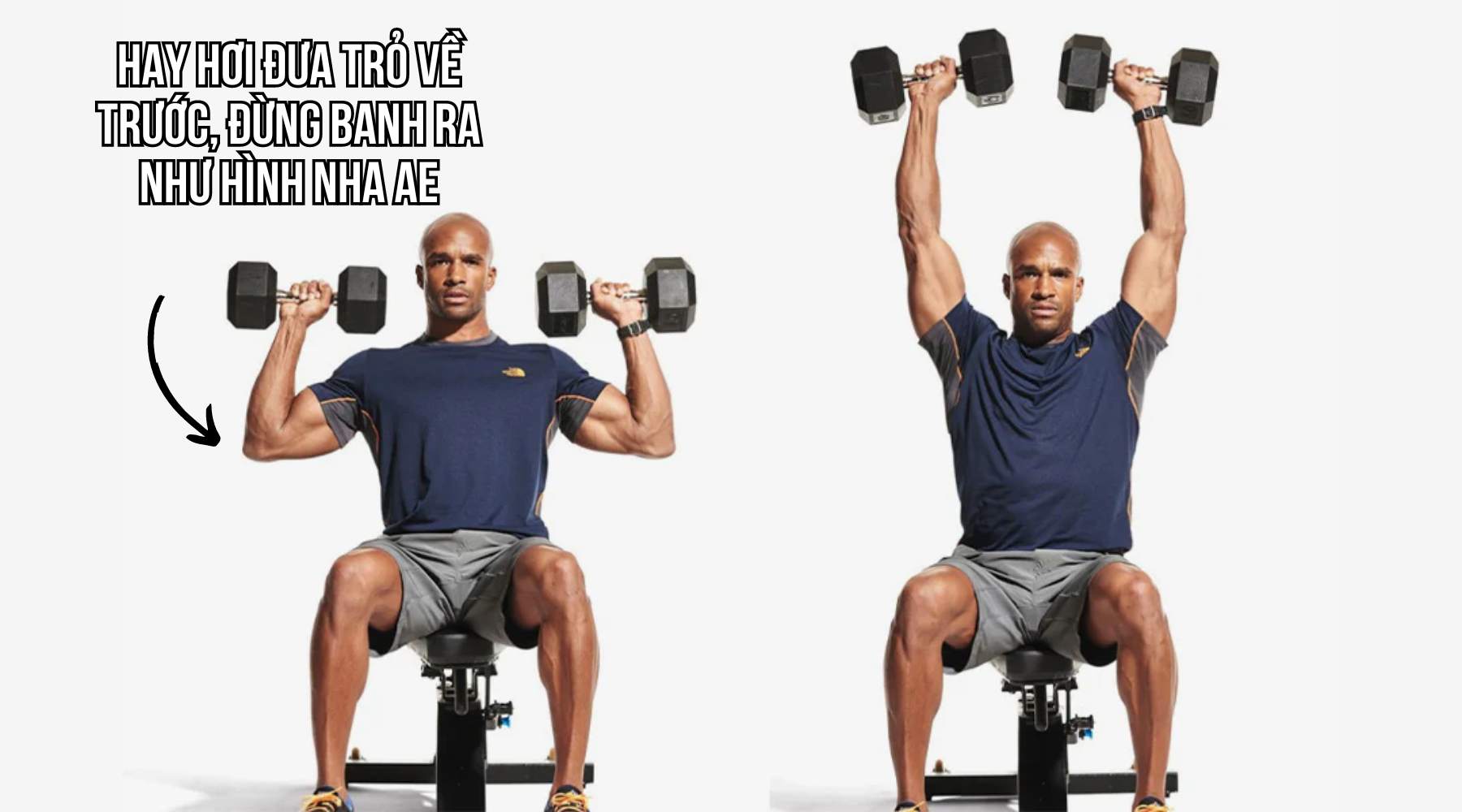 Hướng dẫn cách tập Seated Dumbbell Press đúng kỹ thuật