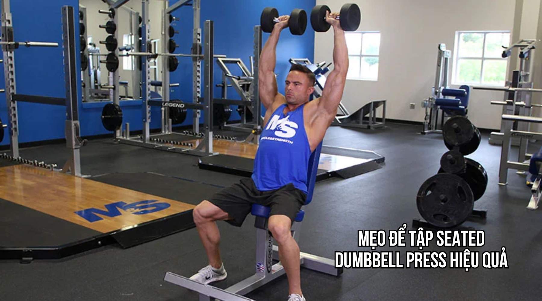 Mẹo để tập Seated Dumbbell Press hiệu quả