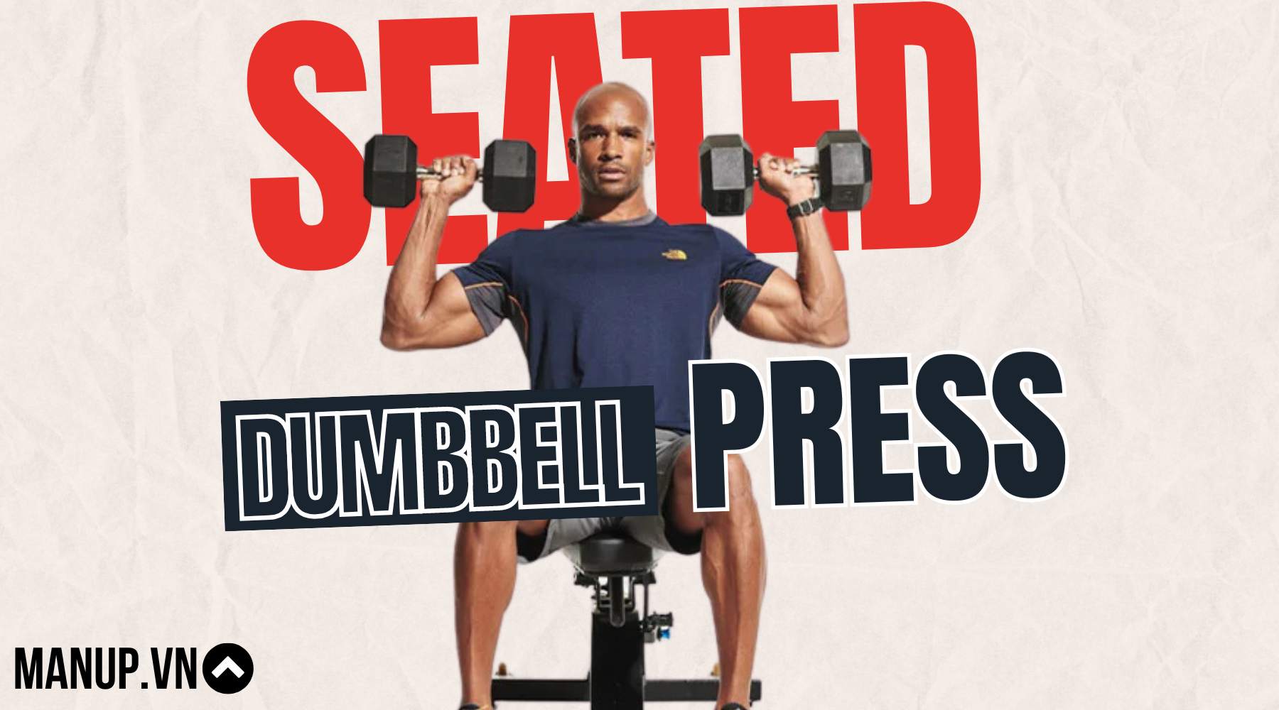 seated dumbbell press