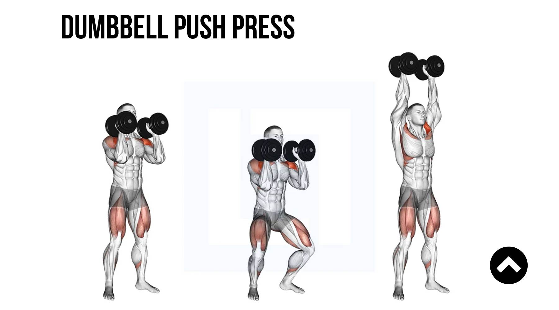 Dumbbell Push Press