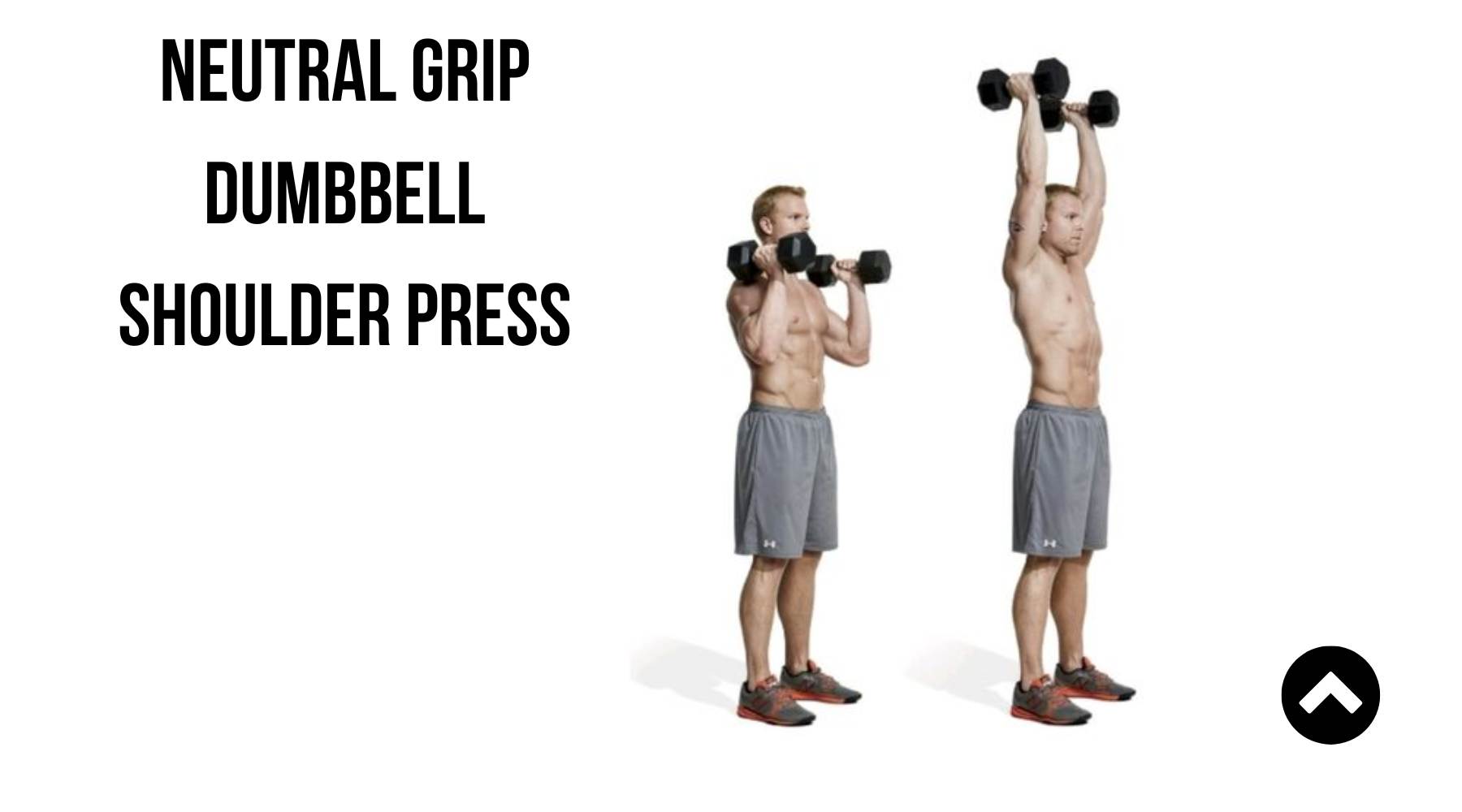Neutral Grip Dumbbell Shoulder Press