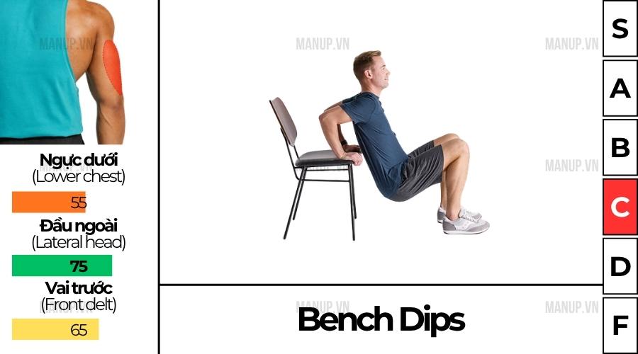 Bench Dips