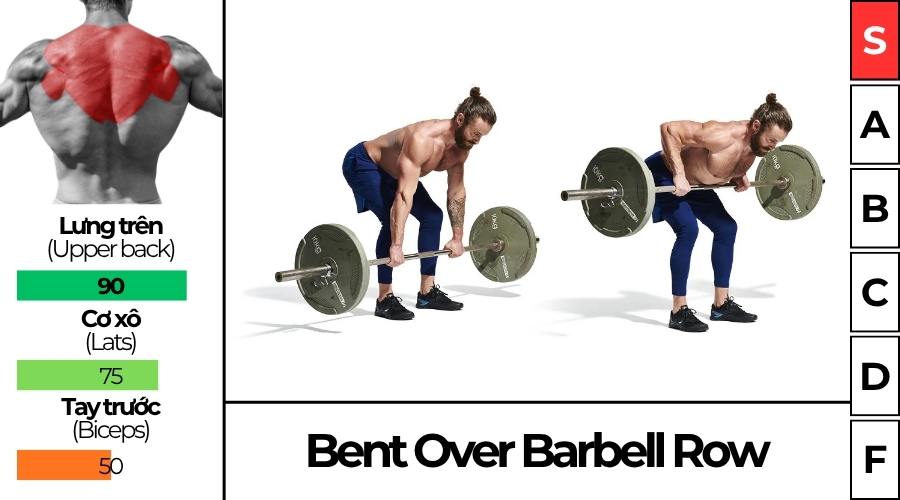 Bent Over Barbell Row